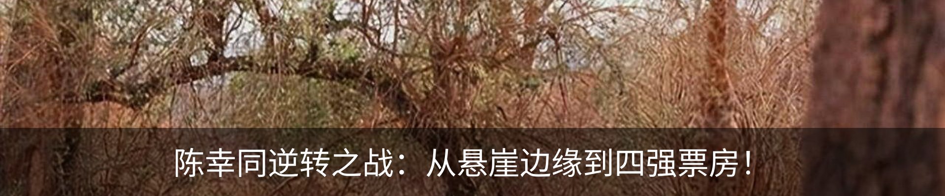 内页banner